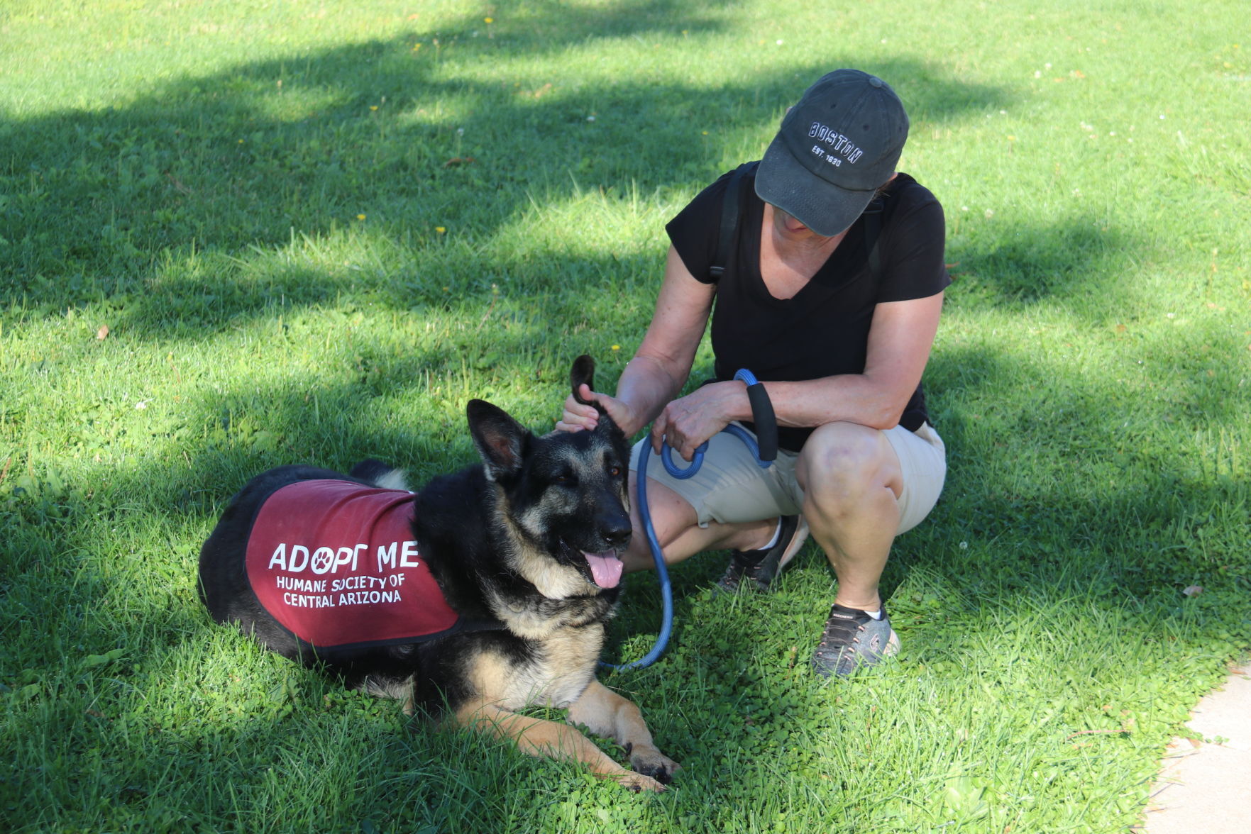 Sue Curry and Sarge, a German Shepherd mix ladies who walk HSCAZ dogs